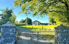 Historic Tinny Park House offers a unique slice of Irish heritage
