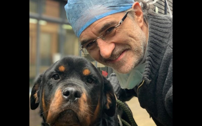 Irish Supervet praised by Meghan Markle for caring for her injured dog