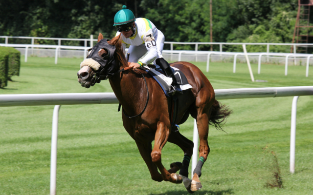 Horse racing and betting in Ireland