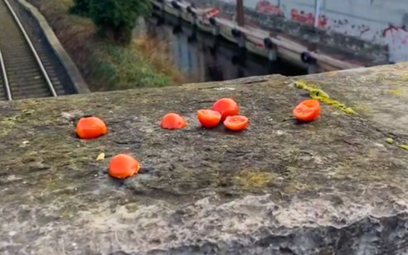 Dublin's hottest new attraction is a pile of tomatoes in Drumcondra