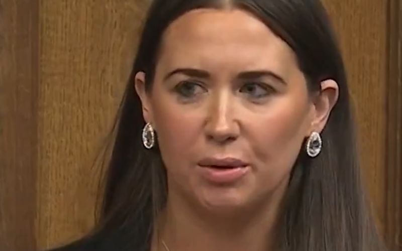 Northern Ireland MP launches legal action against brothers Andrew and Tristan Tate