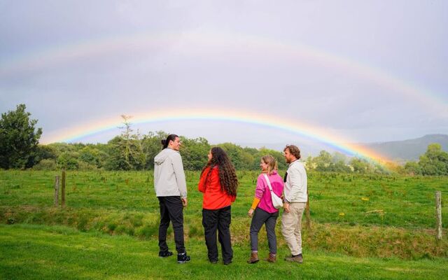 A rainbow at the National Botanic Gardens in Kilmacurragh, Co Wicklow.