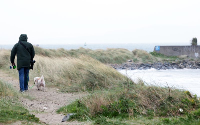 Weather advisory issued for all of Ireland ahead of Storm Éowyn