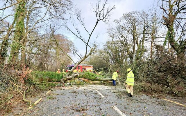 Fire & Rescue Service: Ashbourne brigade, in County Meathm attending a tree down on the N2.
