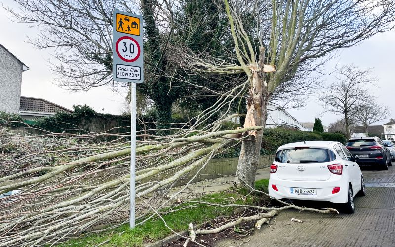 An Garda Síochána warns about scams and "bogus tradespeople" after Storm Éowyn