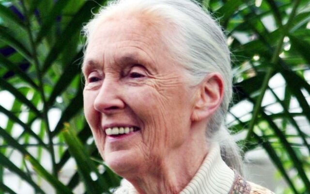 Dame Jane Goodall.