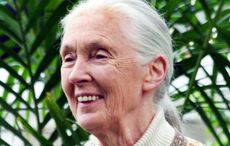 Jane Goodall’s lasting bond with Ireland mourned after her death