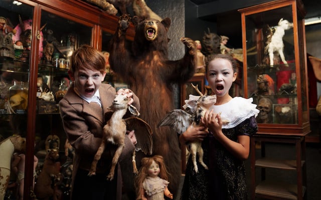 The Dublin City Council Bram Stoker Festival will be held this year from Friday, October 31 to Monday, November 3.