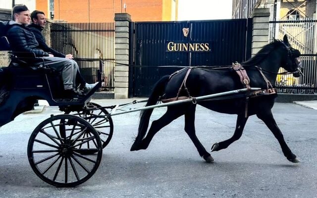 The iconic Guinness gates in Dublin.
