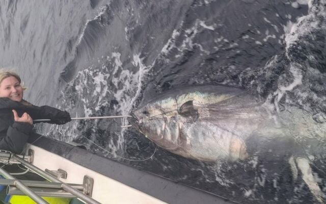 Aoife McGettingan and her giant bluefin tuna catch.