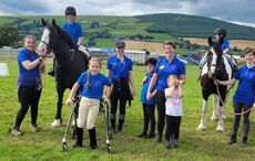 EquiSteps faces eviction as Wicklow therapy centre's future hangs in the balance