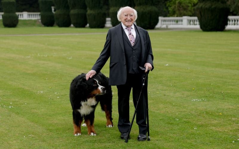 Misneach’s last hurrah — President Higgins’ beloved dog celebrates final birthday at the Áras