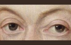 English Spy, Irish Eye: Capt John Baxter's map of Elizabethan espionage in Ireland