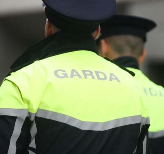 ‘Defenseless’ dog killed by firework in ‘deliberate attack’ in Meath