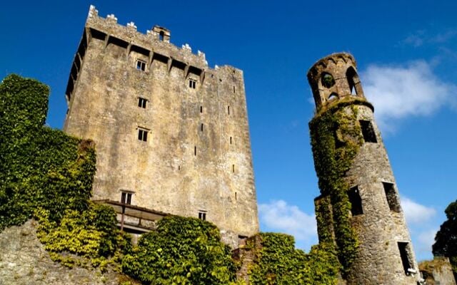 Below Blarney Castle & Tower, Blarney, Co Cork.