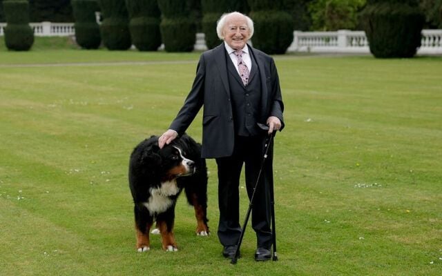 Former President Michael D Higgins and his dog, Misneach.