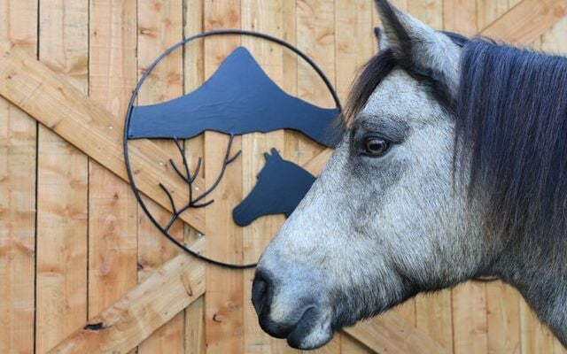 The Connemara Heritage Centre in Galway celebrates the majestic local beloved pony.