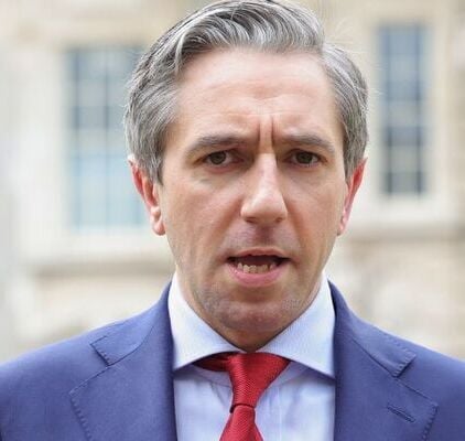 Garda cyber crime expert suspended over Harris hate tweets