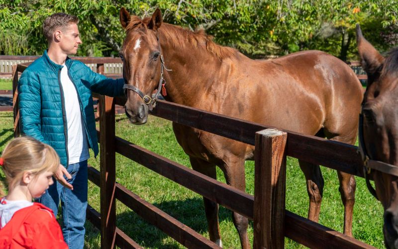 26 unforgettable experiences in Ireland for 2026