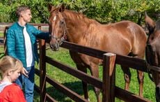 26 unforgettable experiences in Ireland for 2026