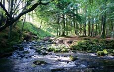 26 unforgettable experiences in Ireland for 2026