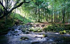 26 unforgettable experiences in Ireland for 2026