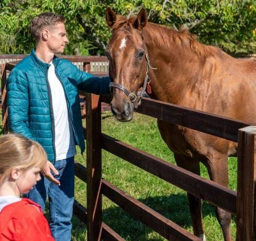 26 unforgettable experiences in Ireland for 2026