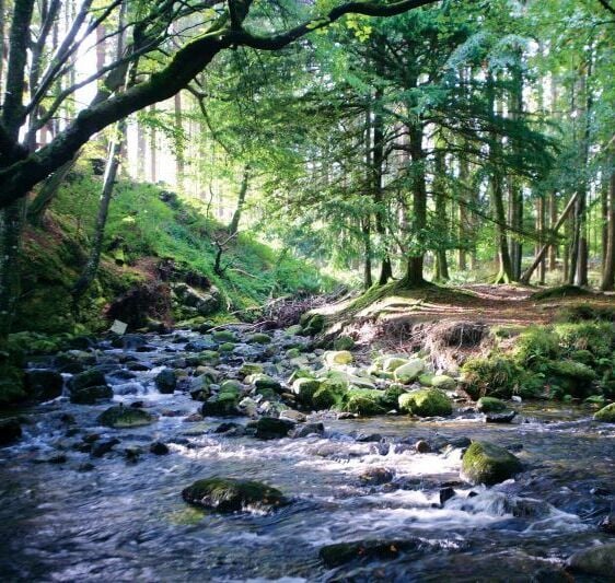 26 unforgettable experiences in Ireland for 2026