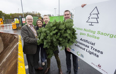 Dublin first city in the world to trial artificial Christmas tree recycling
