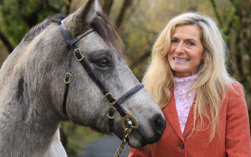 Meet the woman looking after Ireland's beloved native ponies