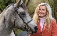 Meet the woman looking after Ireland's beloved native ponies