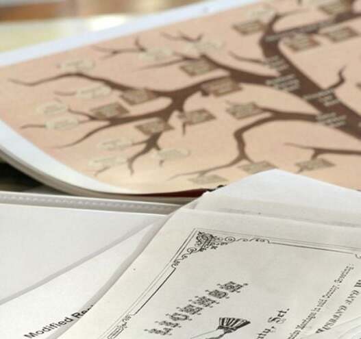 AGI reveals hidden treasures in Irish census records beyond family names