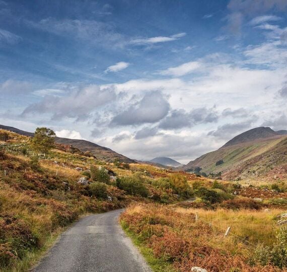 Trace your ancestry on an unforgettable Irish road trip in 2026