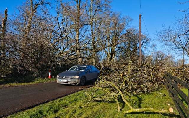 Jan 31: Storm Éowyn, damage in Longdord.