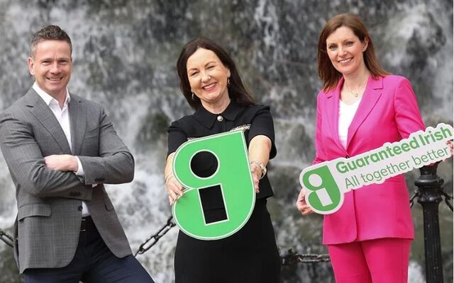 Alan Bromell, Partner and Head of Private Enterprise at KPMG, Brid O\'Connell, CEO at Guaranteed Irish and Camilla Cullinane, Tax Partner at KPMG.