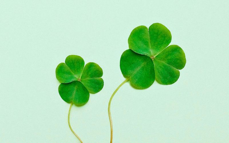 Wearing of the Green - Oh, yes, lucky me