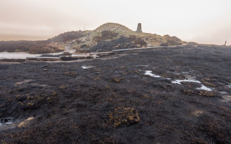 Locals "devastated" as popular Dublin walking trail destroyed by fire