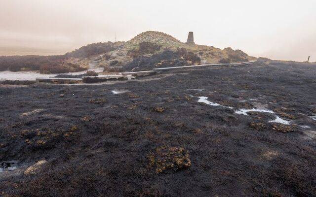 The Dublin 18 Scenery Appreciation group condemned the fire on Facebook, saying that it’s now a \"sea of burnt out heather\".