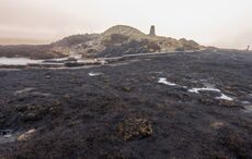 Locals "devastated" as popular Dublin walking trail destroyed by fire