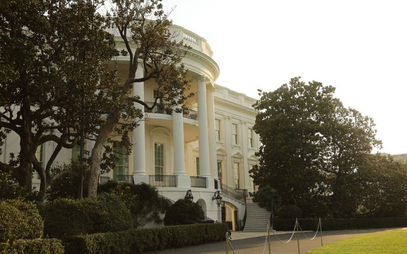 Trump orders president Andrew Jackson's magnolia tree to be removed