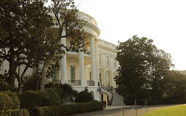 Andrew Jackson\'s magnolia tree on the south lane of the White House.
