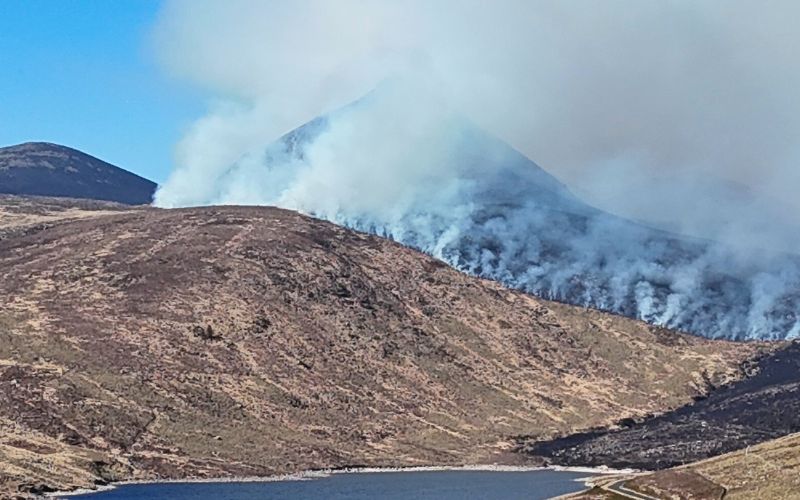 Northern Ireland wildfires deemed "rural arson" by Minister for Environment
