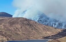 Northern Ireland wildfires deemed "rural arson" by Minister for Environment