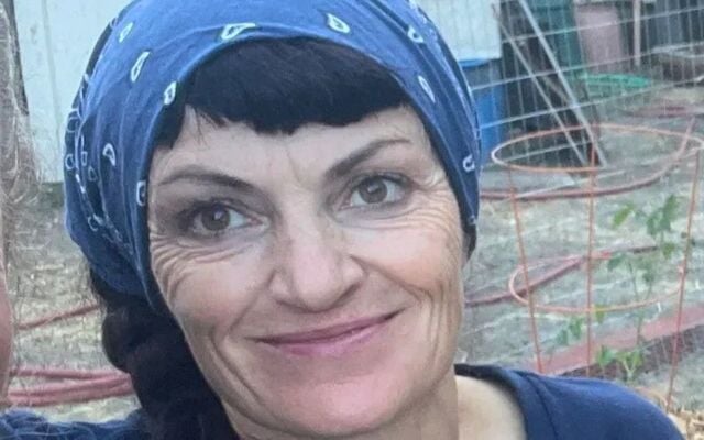 Irish woman Cliona Ward, who has a valid green card, is in ICE custody.