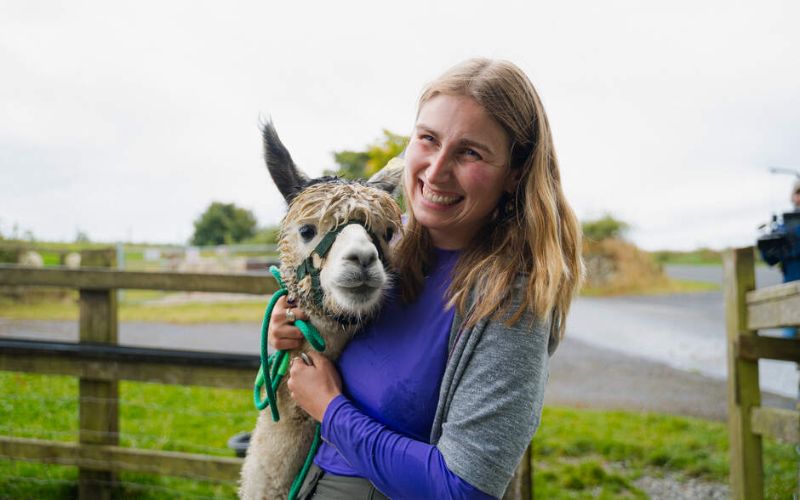 Are these the world's cutest therapists? Meet the alpacas spreading joy in Co Wicklow