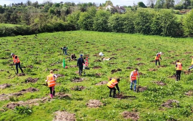 Volunteers working at the Gaelic Woodlawn Project\'s site at Cloonlavis, near Knock in Co Mayo.