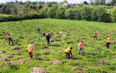 WATCH: Irish charity planting a 'living memorial' in Co Mayo for Famine bicentennial
