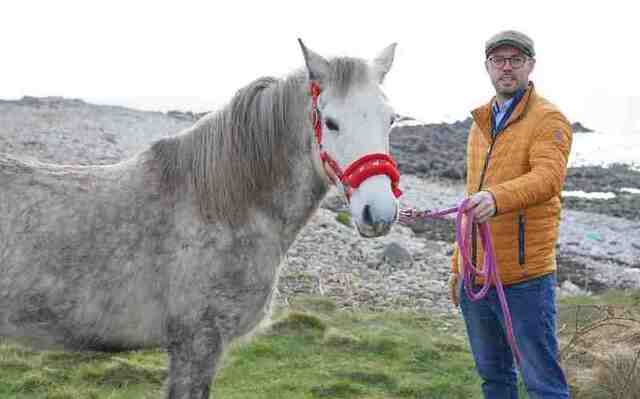 Connemara Pony Breeders Society president Daragh Ó Tuairisg features in the new TG4 series \"Capailliní,\" which explores the enduring popularity of Connemara ponies.