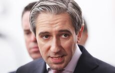 Irish diplomats in delegation that Israeli forces fired shots in vicinity of
