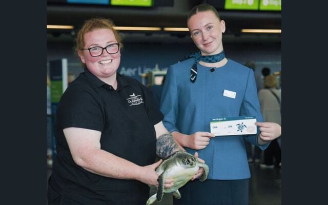 Solstice, the green sea turtle, with marine biologists Maria Foley / Jack Shea Stokes from Dingle Oceanworld and Aer Lingus cabin crew Ella Walsh checking into Aer Lingus flight EI782 to Gran Canaria